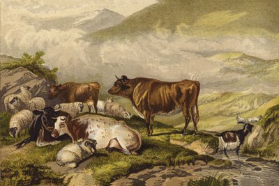 Ganado de Thomas Sidney Cooper